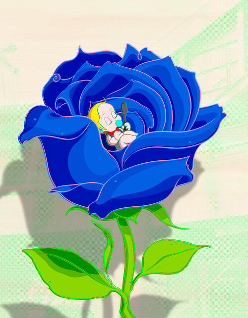 手島 領《Dream in Rose》