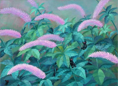 江口綾音《瑠璃虎の尾》